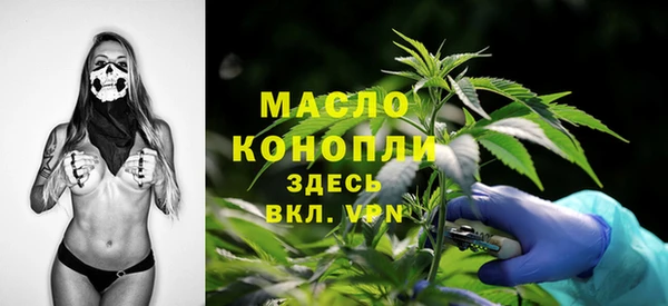 дживик Володарск