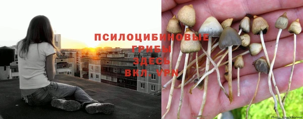 дживик Володарск