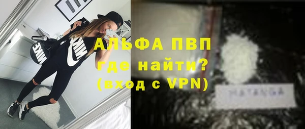 дживик Володарск