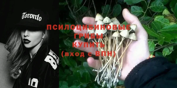 дживик Володарск