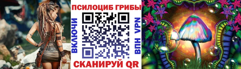 Псилоцибиновые грибы мицелий  ссылка на мегу маркетплейс  Ленинградская 
